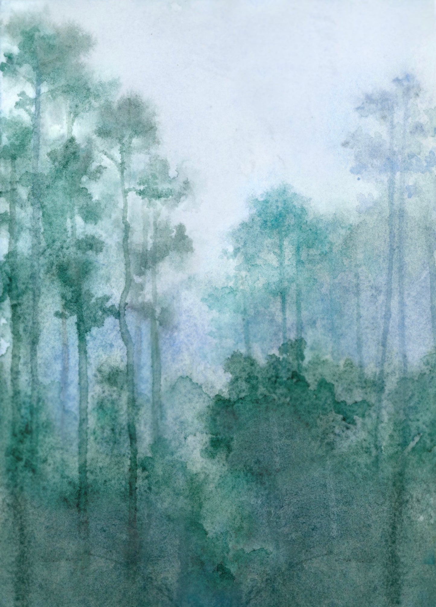✣ fog through loblolly pines sister print ✣